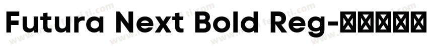 Futura Next Bold Reg字体转换